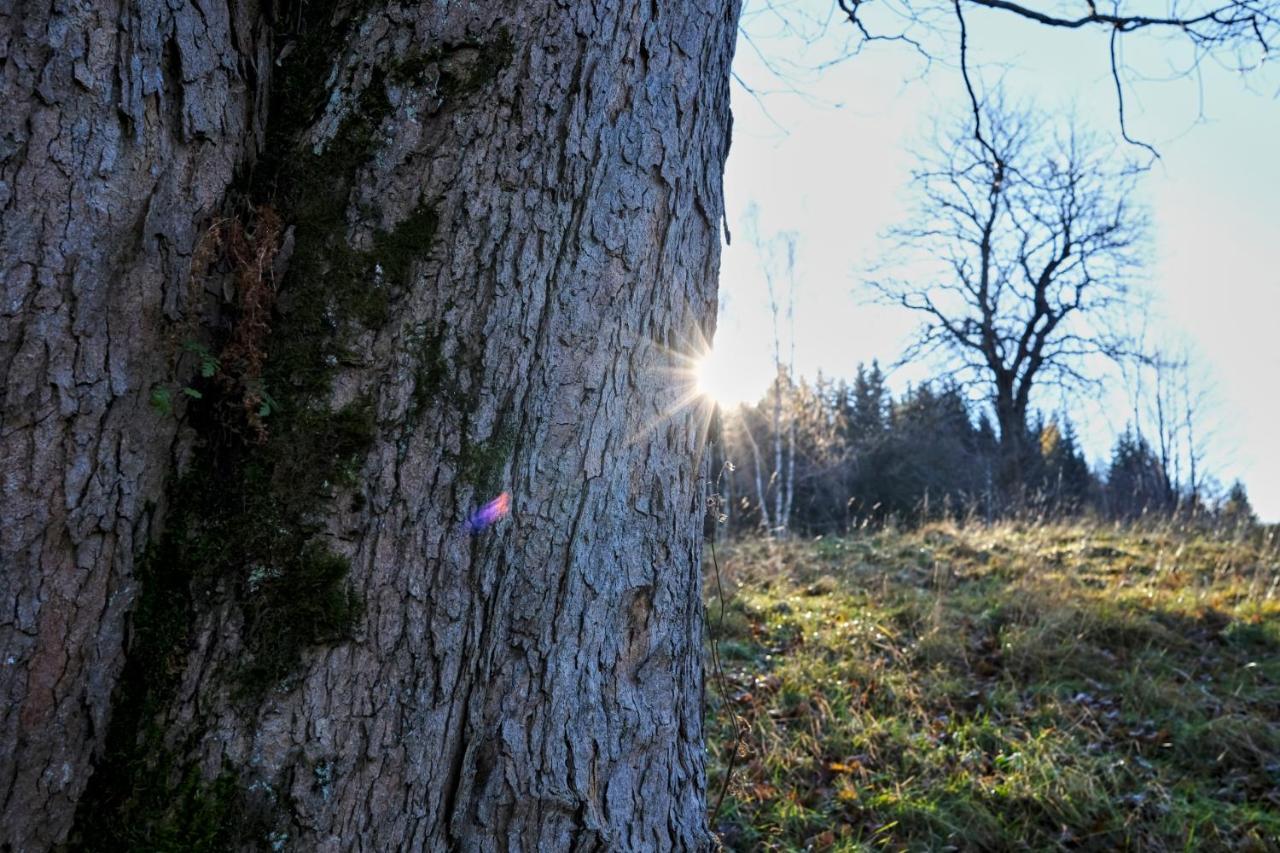 Krolikowka Stronie Śląskie Exteriér fotografie