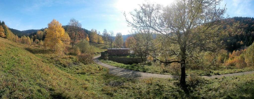 Krolikowka Stronie Śląskie Pokoj fotografie